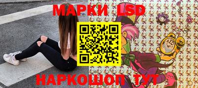шишки Лесосибирск