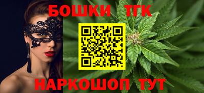 шишки Лесосибирск