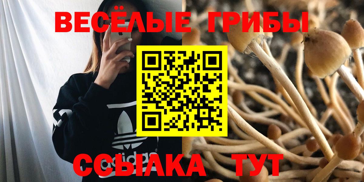 где купить   Вход с VPN  Галлюциногенные грибы Psilocybine cubensis  Калач-на-Дону  Псилоцибиновые грибы Magic Shrooms 
