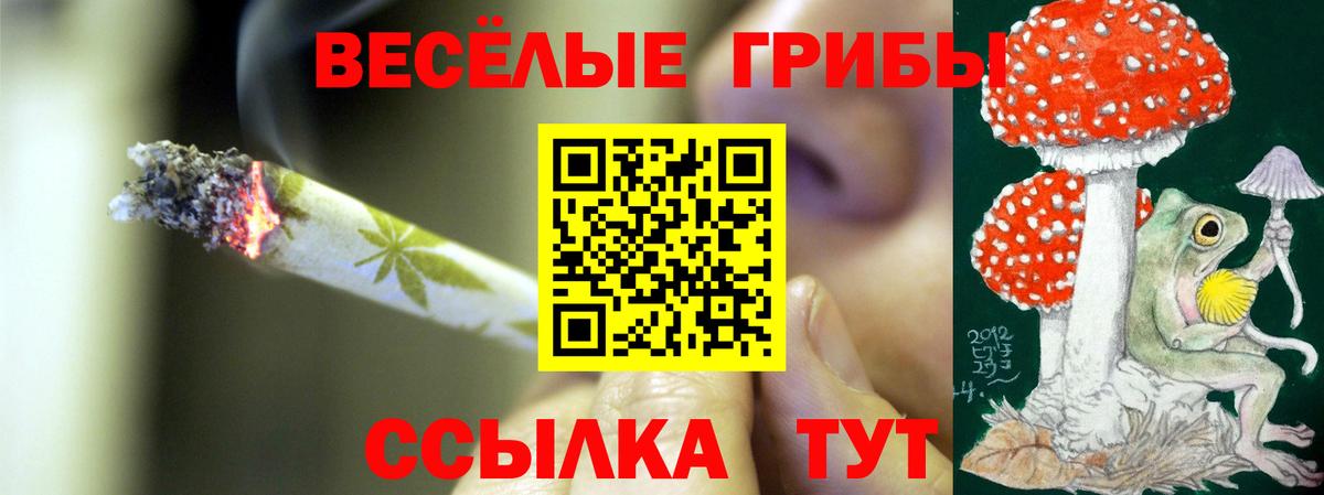 Галлюциногенные грибы MAGIC MUSHROOMS Калач-на-Дону